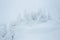 Carpathian Gorgany mountains snowy