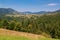 Carpathian landscape, forest firs.