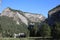 Carpathian Montain rock in Romania, Pine forest