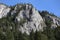 Carpathian Montain rock in Romania, Pine forest