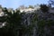 Carpathian Montain rock in Romania, Pine forest