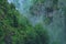 Carpathian mountain forest in the valley of the river Arges.