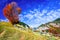 Carpathian Mountains, Autumn landscape in Magura