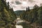 Carpathian mountains dramatic moody scenic view of pine forest and highland river stream with gray cloudy sky background Western