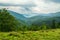 Carpathian mountains and forest.