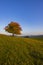 Carpathian mountains landscape, Eastern Slovakia