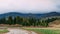 Carpathian Mountains. Landscape with firs.