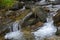 Carpathian mountains, Ukraine: Stream on way to Hoverla, the highest Ukrainian mountain