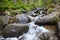 Carpathian mountains, Ukraine: Stream on way to Hoverla, the highest Ukrainian mountain