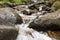 Carpathian mountains, Ukraine: Stream on way to Hoverla, the highest Ukrainian mountain