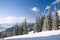 Carpathian mountains, Ukraine. Wonderful snow-covered firs against the backdrop of mountain peaks. Panoramic view of the