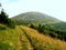 Carpathian mountains and vegetation