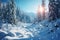 In the Carpathian Mountains, winters beauty shines through the forest