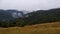 Carpathian peaks and fogs of forest mountains