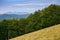 carpathian primeval beech forests in mountains