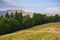 carpathian primeval beech forests in mountains