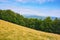 carpathian primeval beech forests in mountains