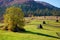 carpathian rural landscape in autumn