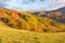 carpathian rural landscape in autumn