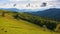 carpathian rural landscape in spring