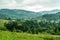 Carpathian summer landscape. Green forest among the mountains, mist floats above it