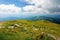 carpathian summer mountain landscape