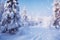 Carpathian woods in winter frozen trees grace the mountainous landscape