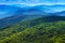 Carpathians forest. Mountains panorama background.