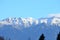 Carpathians mountains in winter