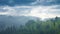 Carpatian valley with green hills and misty horizon