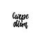 Carpe Diem - hand drawn lettering latin phrase Seize the day isolated on the white background. Fun brush ink inscription