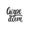 Carpe diem - hand drawn lettering phrase means seize the day isolated on the white background. Fun brush ink inscription