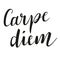 Carpe diem latin aphorism