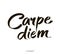 Carpe diem. In latin means Catch the moment. Hand-lettering using a brush inspirational quote on white