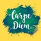 Carpe diem - latin phrase means Capture the moment. Hand drawn typography poster.