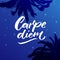 Carpe diem - latin phrase means seize the day, enjoy the moment. Inspiration quote brush calligraphy handwritten on