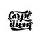 Carpe diem lettering card. Typographic