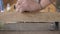 A carpenter cuts an old walnut wood plank with an electric hand-held fraser