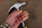 Carpenter hand fingers and hammer