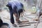 Carpenter repairing wooden table, in the style of motion blur