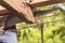 A carpenter saws off the excess edge of a wood rafter. Building or reconstructing a wooden roof frame for a rural home