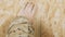 A carpenter uses a drill to drill holes in a wooden board.