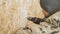 A carpenter uses a drill to drill holes in a wooden board.