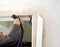 Carpenter using a compressed air nailer tool to insert nails into the flashing frame of a new white door