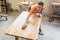 Carpenter woman working on a table