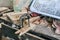 Carpenter working with a wood product, hand tools, close up cutting wooden boards.