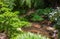 Carpes KOI  in small pond in Botanical garden of