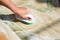 Carpet cleaning with brush and detergent foam. Close-up of woman\'s hand cleaning wet rug. Home hygiene