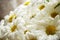 Carpet of daisy flowers or part of flower bunch in day light