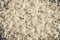 Carpet fibers close up. white carpet texture, top view.